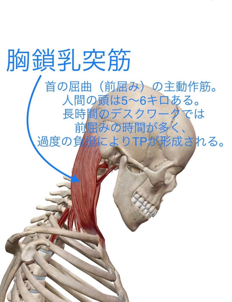 頚 性 神経 筋 症候群