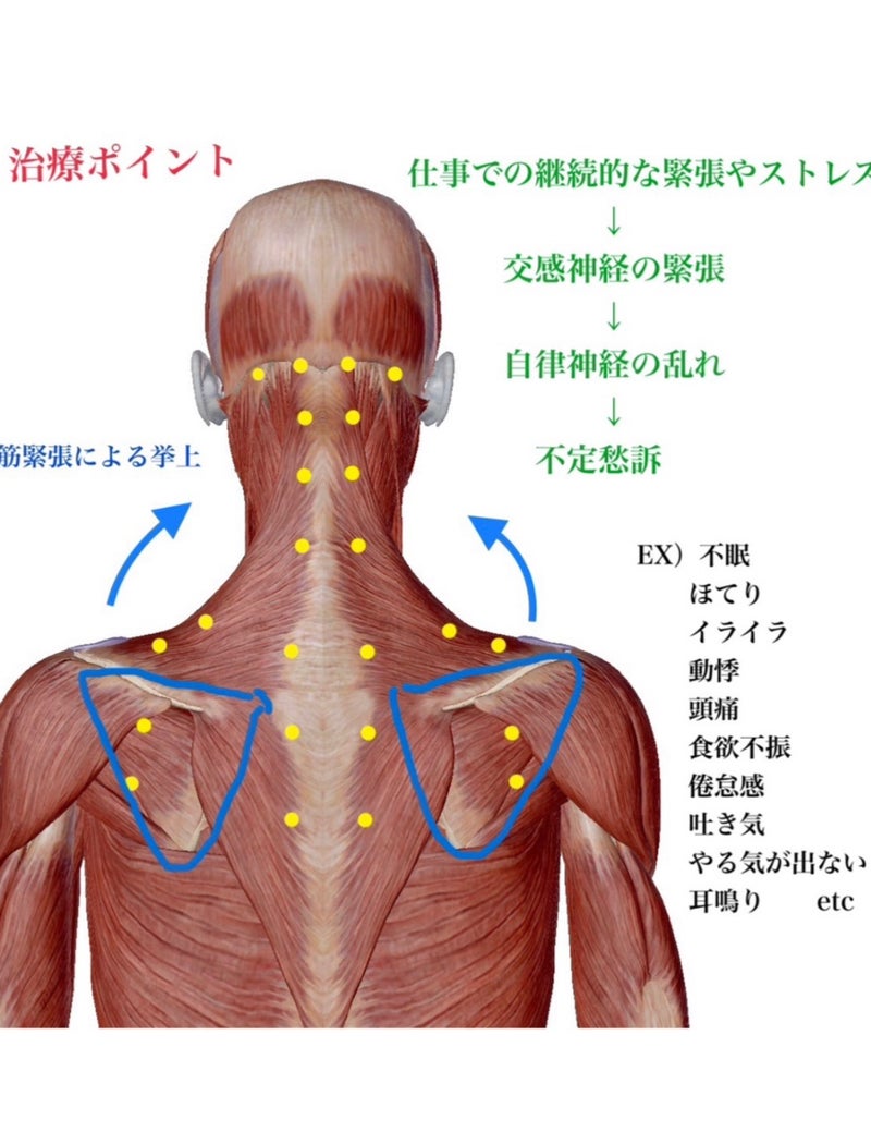 筋肉疲労が病気の原因だった 』福増一切照
