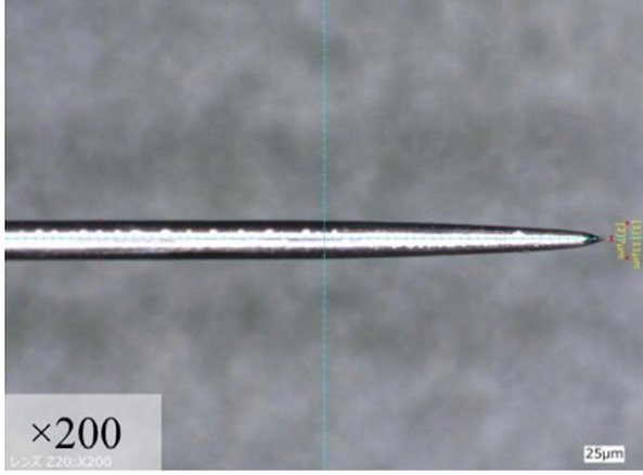acupuncture microscope Image