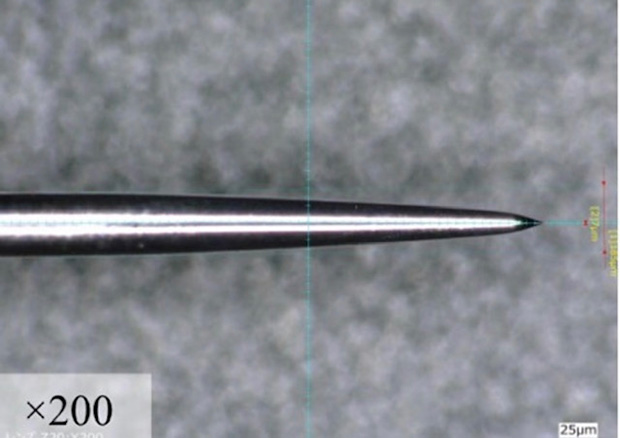 microscopic image of No.3 needle